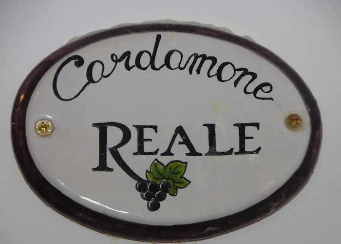 Nocleg ze śniadaniem Reale Wine 4*