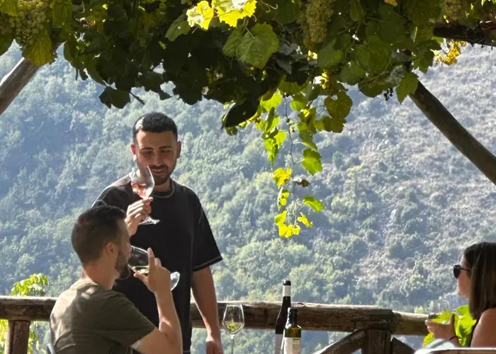 Nocleg ze śniadaniem Reale Wine