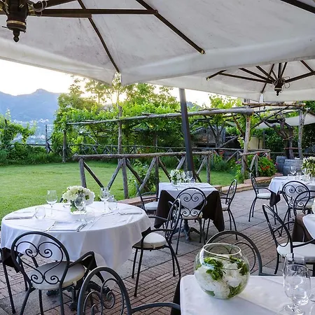 Couette-café Reale Wine