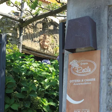 Reale Wine Couette-café Tramonti