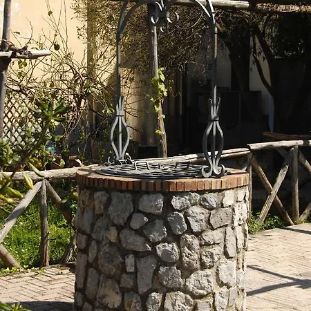 Reale Wine Couette-café Tramonti