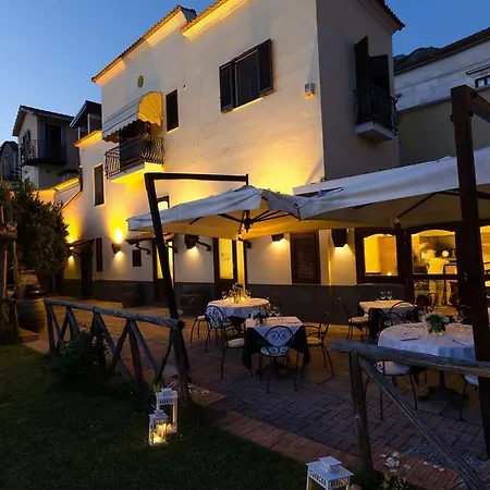 Reale Wine Couette-café Tramonti