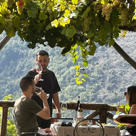 Bed & Breakfast Reale Wine