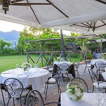 Reale Wine 4*