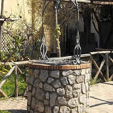 Reale Wine