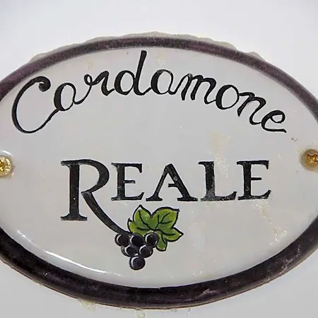 Reale Wine Panzió
