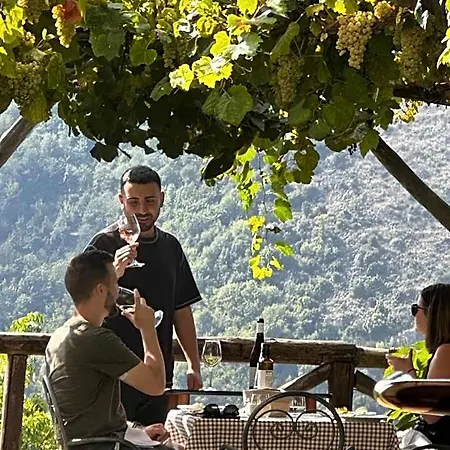 Bed & Breakfast Reale Wine