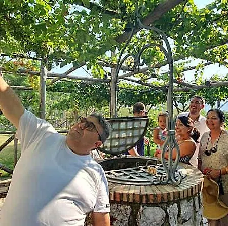Reale Wine Frühstückspension