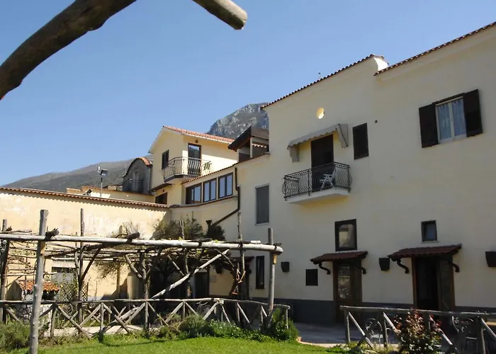 Reale Wine 3* Tramonti
